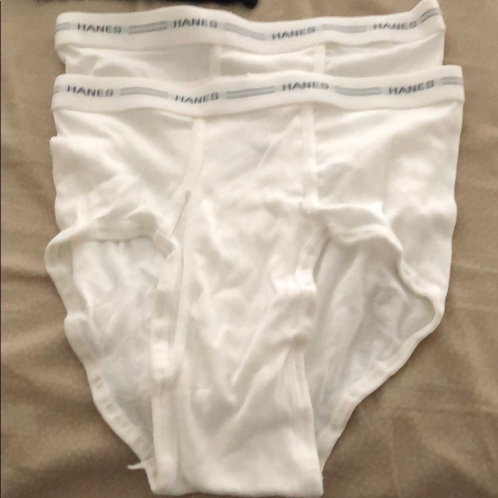 Hanes brief